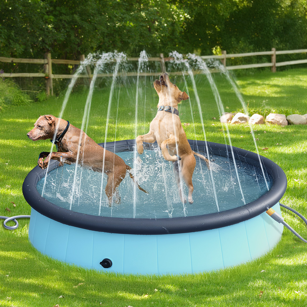 Pawz Folding Dog Swimming Pool - Image 7